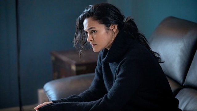 La ley y el orden: crimen organizado S05E06