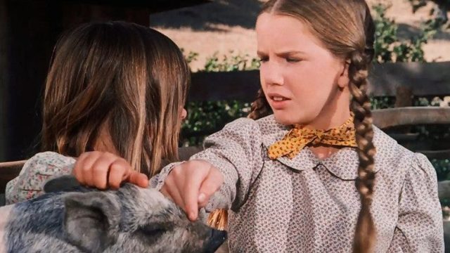 La familia Ingalls S02E15