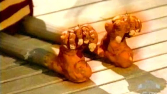 Las maravillosas desventuras de Flapjack S01E03