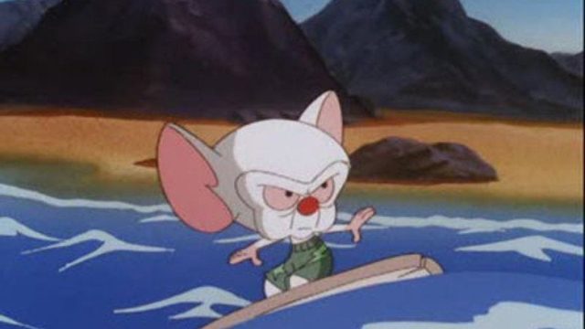 Pinky y Cerebro S03E40