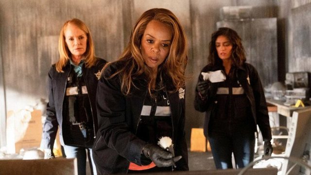 CSI: Vegas S02E15