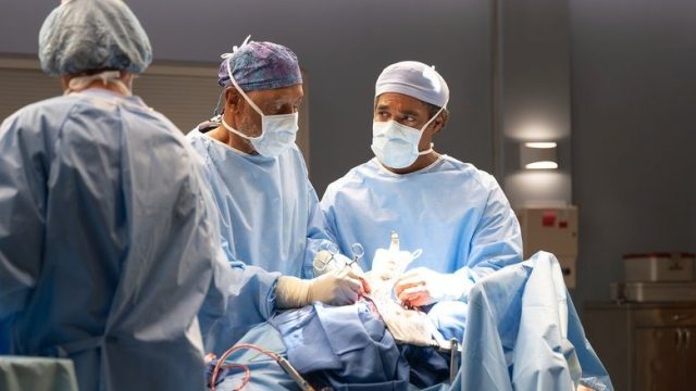 Anatomía según Grey S22E03