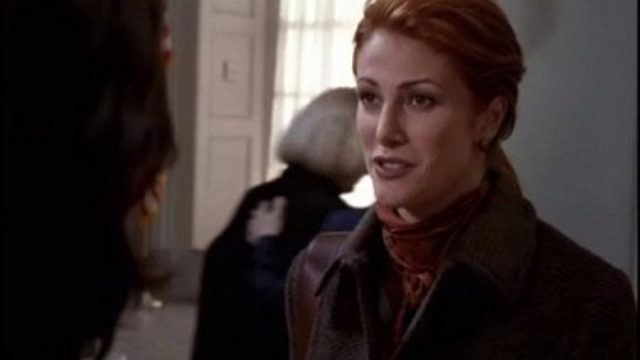 La Ley y el Orden: Unidad de Víctimas Especiales S01E13