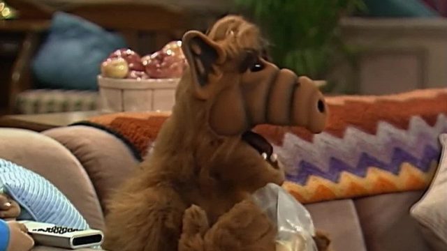 ALF S01E21