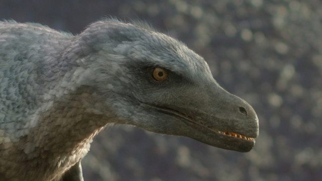 Planeta prehistórico S00E03