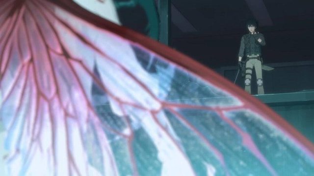 Insect Cage S01E11