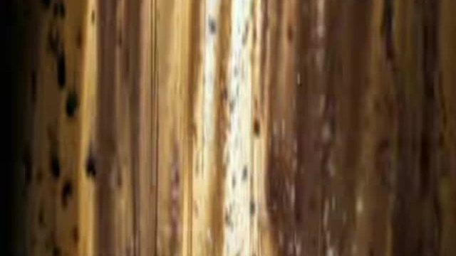 BeyBlade S03E04