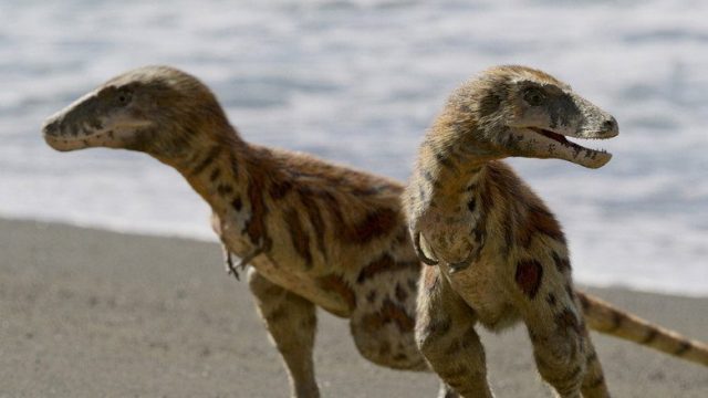 Planeta prehistórico S00E01