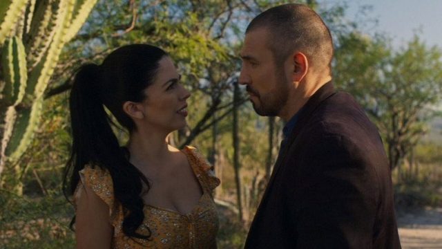 El Señor de los Cielos S08E18