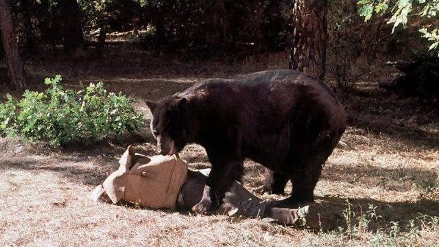 La familia Ingalls S02E12