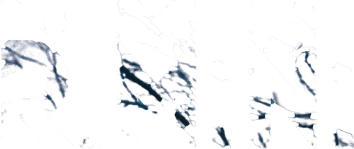 R.M.N.