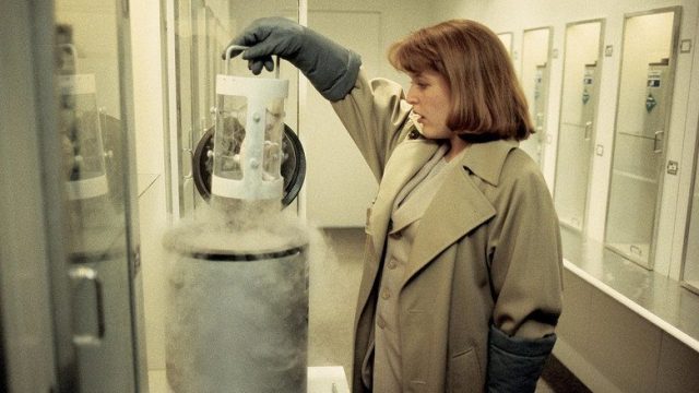Los Expedientes Secretos X S01E24
