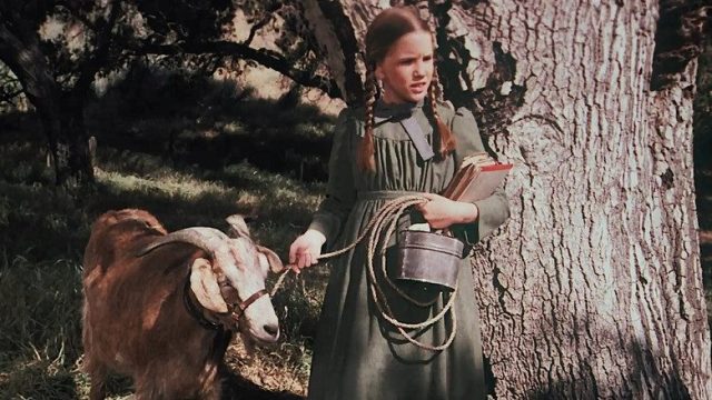 La familia Ingalls S03E08