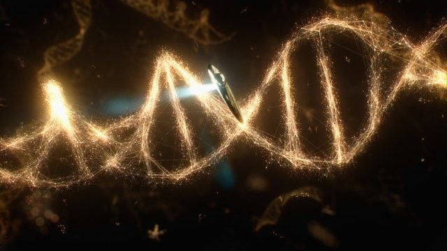 Cosmos S01E02