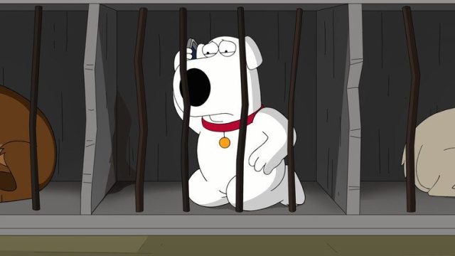 Padre de Familia S16E15