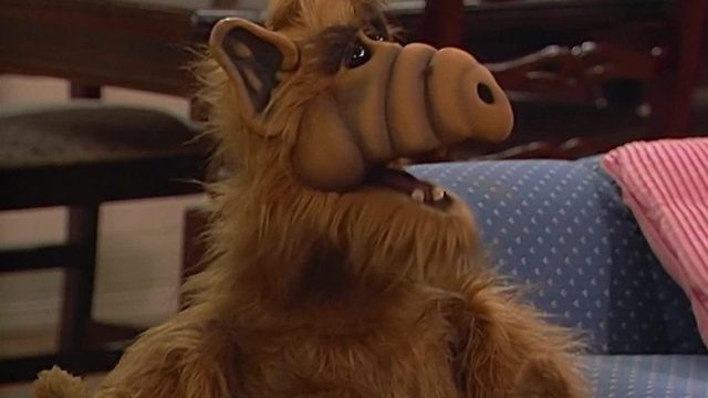 ALF S01E16