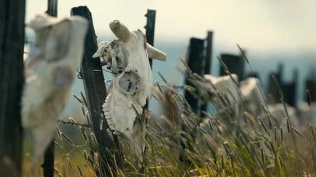 Misterios sin resolver S03E08