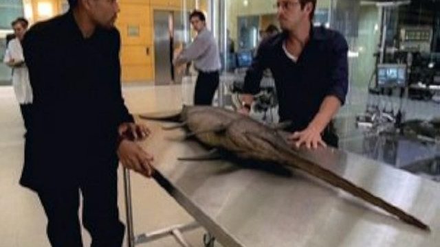 CSI: Nueva York S02E05