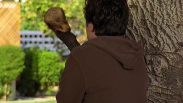 Scrubs S05E08