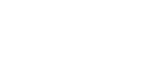 Lobo Adolescente