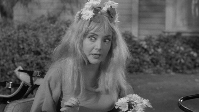 Los locos Addams S02E24