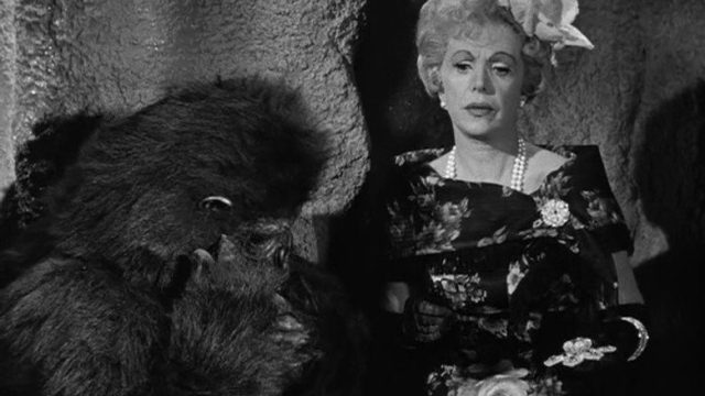 La isla de Gilligan S01E22
