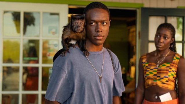 Bad Monkey: Negocios turbios S01E03