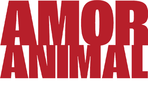 Amor animal