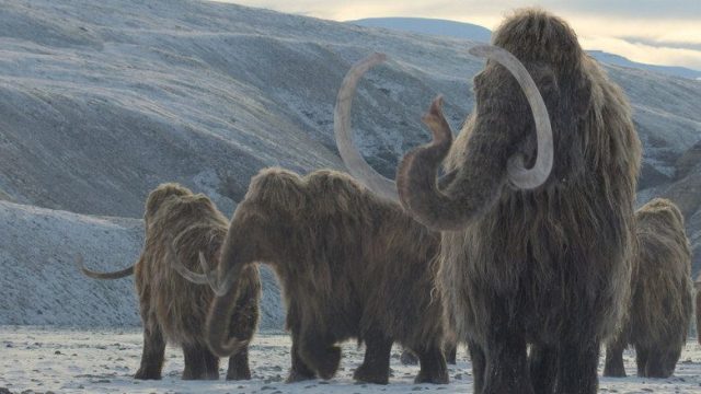 Planeta prehistórico S03E05