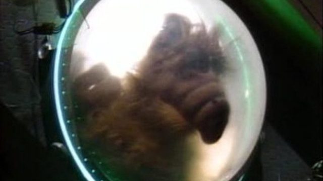 ALF S00E01
