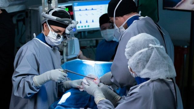 Anatomía según Grey S15E21