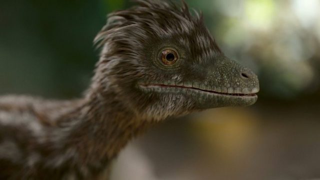 Los dinosaurios S01E01