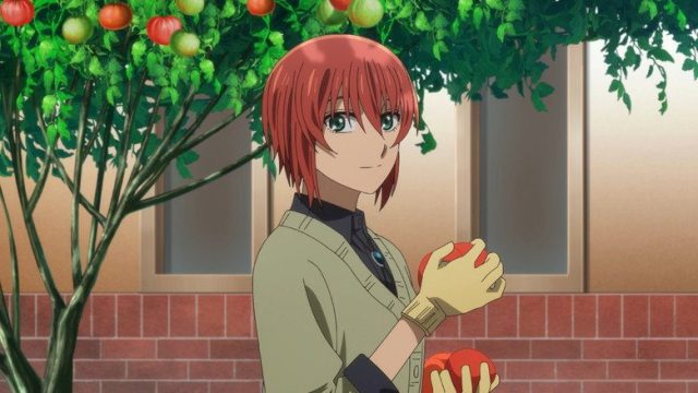 The Ancient Magus' Bride (Mahou Tsukai no Yome) S02E17