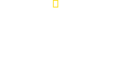 Cheetahs Up Close with Bertie Gregory
