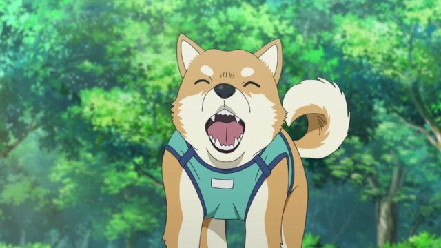 Detective Conan S01E1081