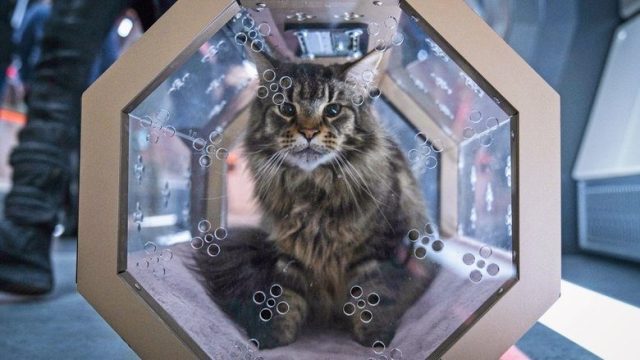 Star Trek: Discovery S04E06