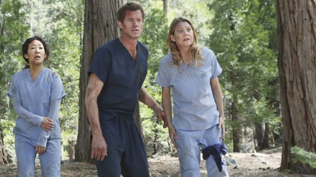 Anatomía según Grey S08E24