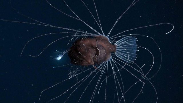 Nuestro planeta S01E06