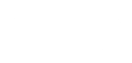 Searching for the Elephant