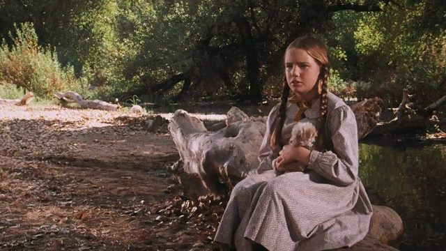 La familia Ingalls S02E08