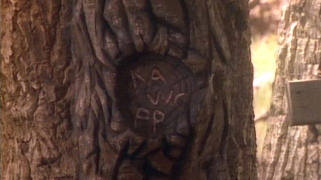 Los años maravillosos S02E16