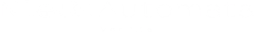NieR:Automata Ver1.1a