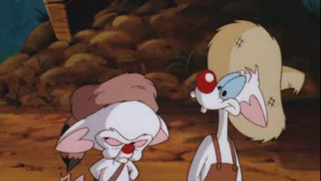 Pinky y Cerebro S04E08