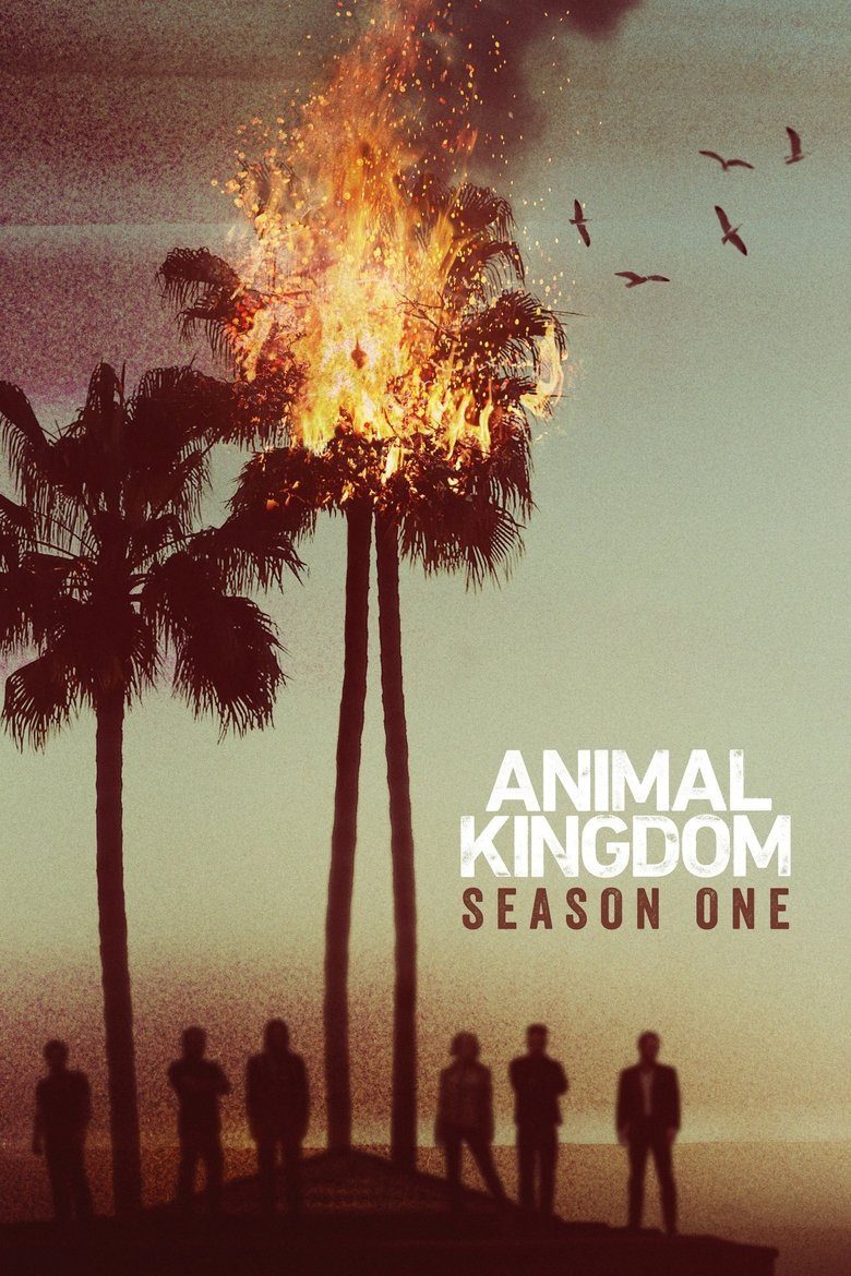 Animal Kingdom Temporada 1