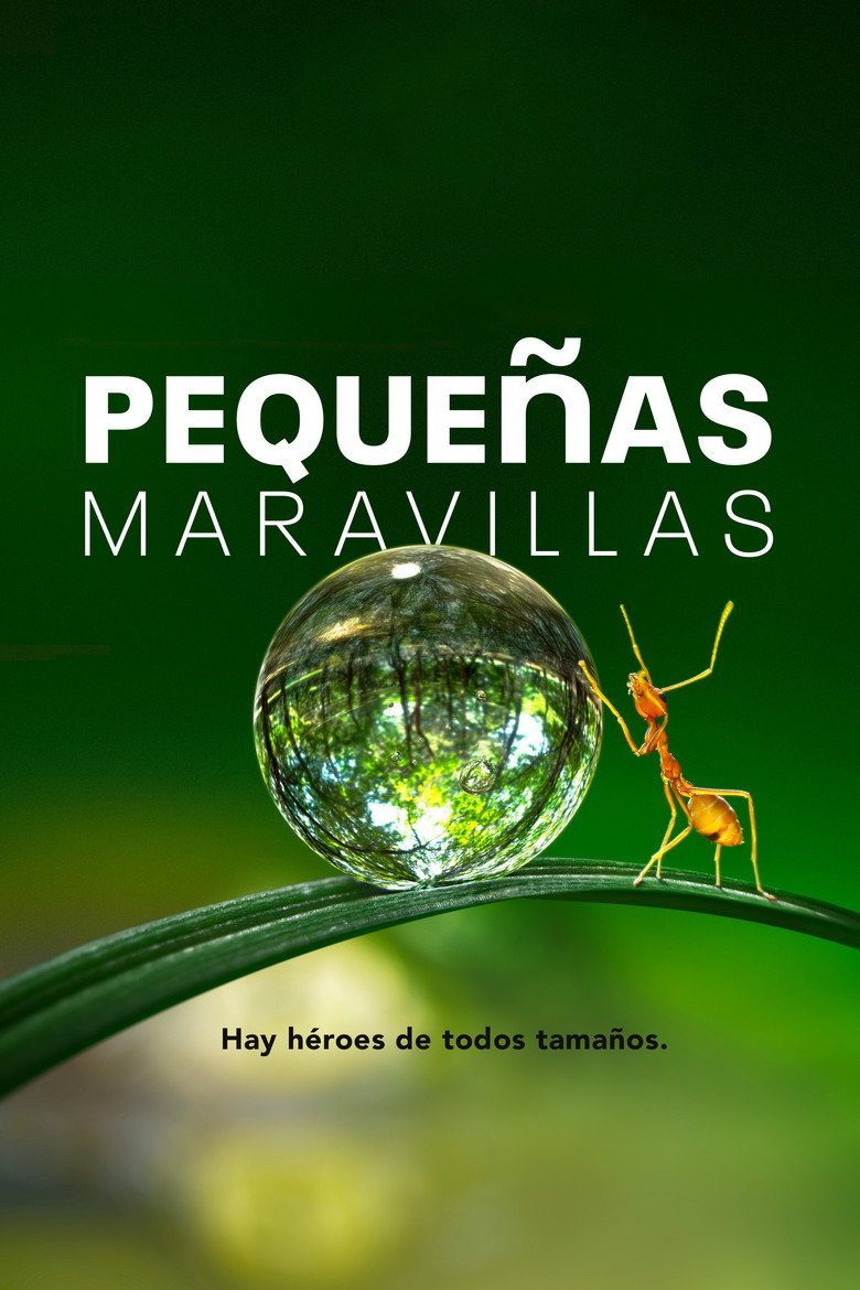 Pequeñas maravillas Temporada 1