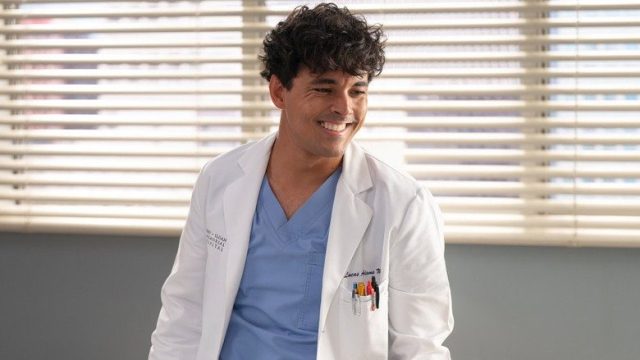 Anatomía según Grey S22E12