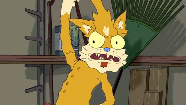 Rick y Morty S01E11