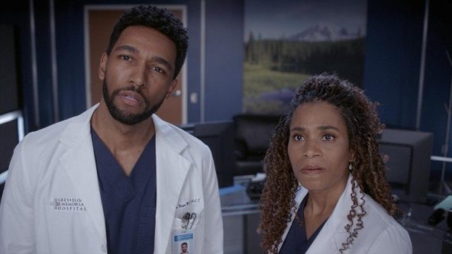 Anatomía según Grey S19E14