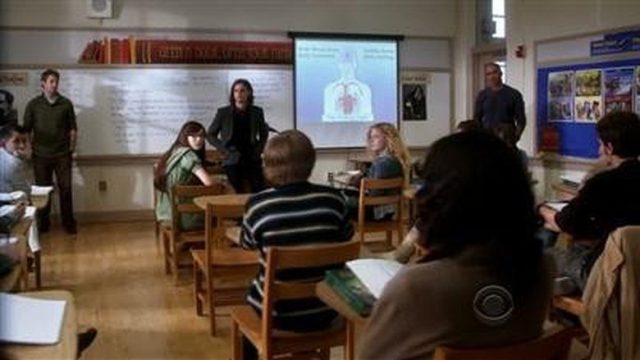 Mentes Criminales S05E13