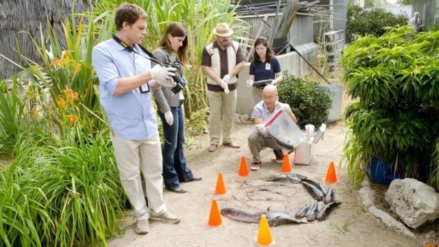 Dexter S06E04